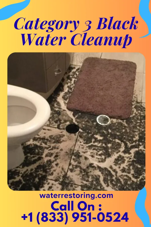 Category 3 Black Water Cleanup in Eads, CO